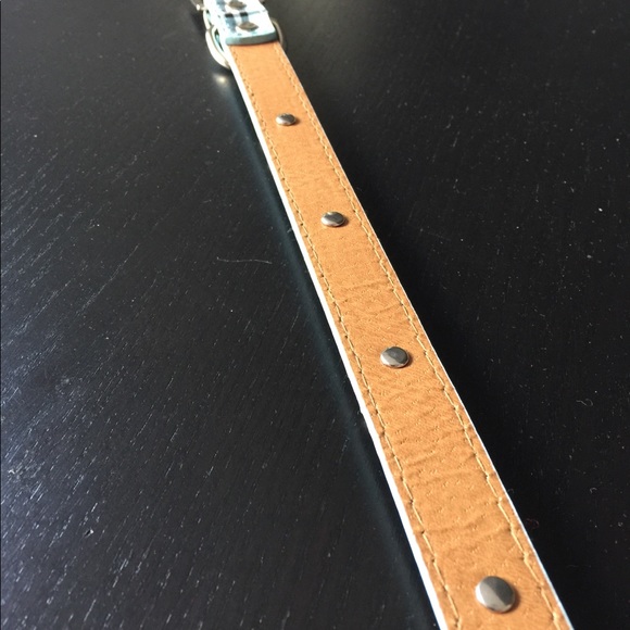 NWT New Blue Bone Bling Pet Collar - Medium - Picture 4 of 8